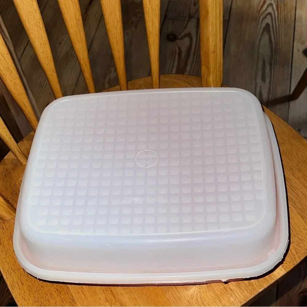Tupperware Season-Serve Marinade Container Large Passion Red New BBQ Marinator